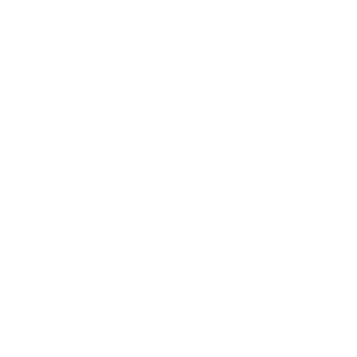RP Project